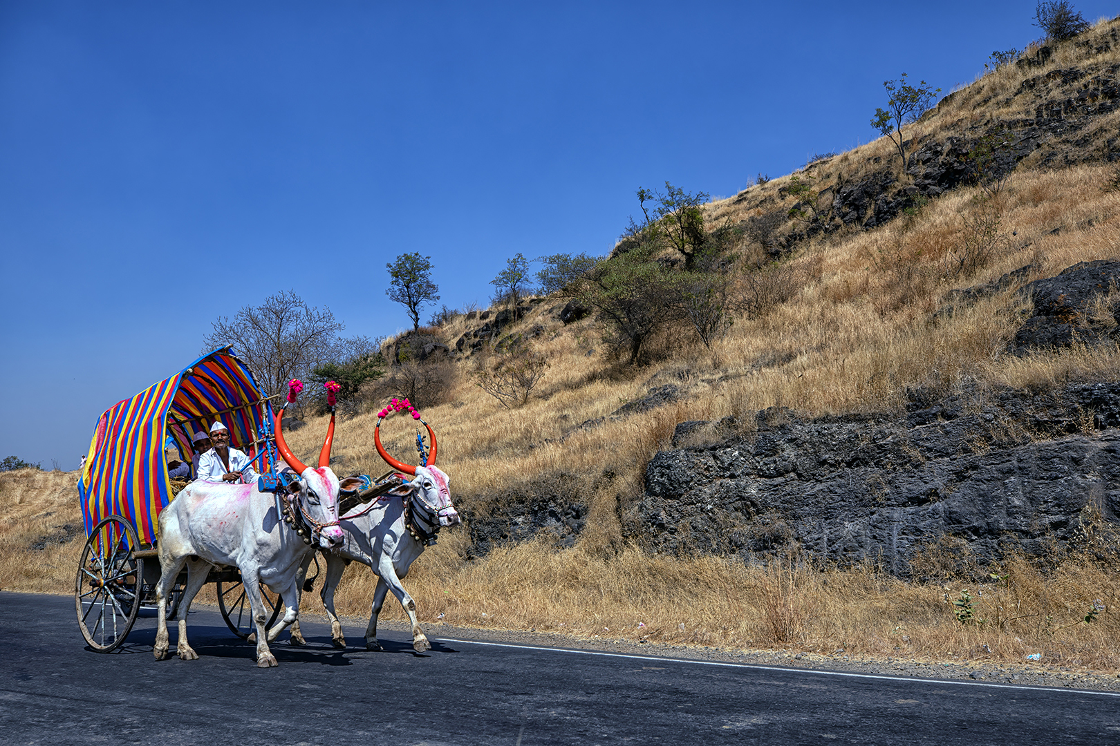 520 | Maharashtra 2023